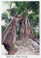 SURVEI KAWASAN SEKITAR TASIK CHINI DAN PENEMPATAN PENDUDUK ORANG ASLI YANG MENGHUNI SEKITAR KAWASANNYA PADA 27 OKTOBER 2002