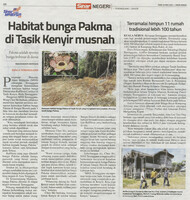 Sinar - 10 Mac 2021 -Habitat bunga pakma di Tasik Kenyir musnah