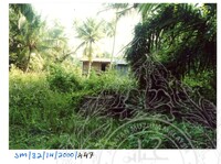 ARKEOLOGI SG, MAS, KEDAH  SM: 32-14/ 2000 (JILID 3)