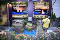 HMA 2025- 24.7.2025 - SEKITAR RERUAI PAMERAN, PANEL BY PANEL DAN CROWD