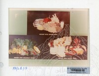 PAMERAN LITERASI VOL : 1 1990 B