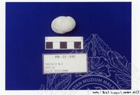 ARKEOLOGI SG. MAS, KEDAH SM : 32 / 2001 / 252 - 498 (JILID 2)