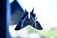 HMA2023 - CURATOR CRASH COURSE DI ARTS AND CRAFTS GALLERY, BCM