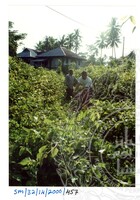 ARKEOLOGI SG, MAS, KEDAH  SM: 32-14/ 2000 (JILID 3)