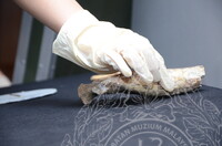 GAMBAR KOLEKSI DAN PENGENDALIAN PAMERAN GELARI 1