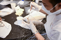 BENGKEL TAKSIDERMI IKAN