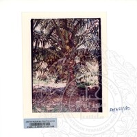 KOLEKSI PAMERAN ALAM SEMULAJADI 1994