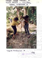 ARKEOLOGI SG. MAS, KEDAH SM: 32-5/ 93 VOL: 1 W