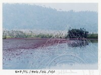 SURVEI KAWASAN SEKITAR TASIK CHINI DAN PENEMPATAN PENDUDUK ORANG ASLI YANG MENGHUNI SEKITAR KAWASANNYA PADA 27 OKTOBER 2002