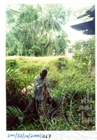 ARKEOLOGI SG, MAS, KEDAH  SM: 32-14/ 2000 (JILID 3)