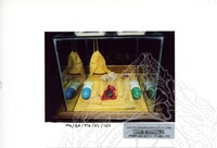 BAHAN PAMERAN TEROKAI HANTU