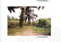 ARKEOLOGI TAMPAN, LENGGONG, PERAK JILID 4