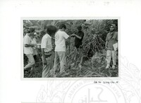 ARKEOLOGI SG. MAS, KEDAH SM : 32-3 / 93 VOL : 9 HP