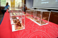 BICARA MUZIUM ALAM SEMULA JADI (KEUNIKAN MUATIARA HUTAN)