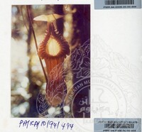 PAMERAN KEINDAHAN ALAM 1994 (2)