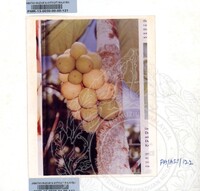 KOLEKSI PAMERAN ALAM SEMULAJADI 1994