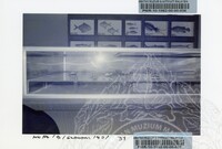 PAMERAN BALAI EKONOMI 1982