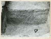 ARKEOLOGI KG. PANCU MUAR JOHOR 1978