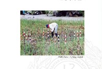 ARKEOLOGI KOTA KAYANG PERLIS 2002 JILID 3