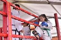 HMA 2025- 26.7.2025 -  PERTUNJUKAN TAEKWONDO