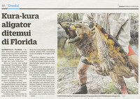 Kosmo_31-Aug-2020_ms 46_Kura-kura aligator ditemui di Florida