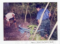 ARKEOLOGI SG. MAS, KEDAH SM : 32-13/ 99