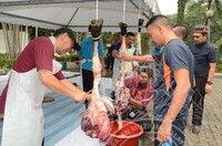 PROGRAM IBADAH QURBAN DAN AQIQAH 1440H 2019