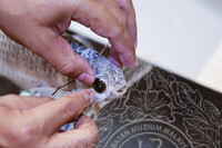 BENGKEL TAKSIDERMI IKAN