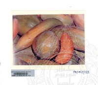 KOLEKSI PAMERAN ALAM SEMULAJADI 1994