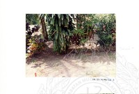 ARKEOLOGI SG. MAS, KEDAH SM: 32-4/ 93 VOL: 3 W