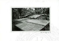 ARKEOLOGI SG. MAS, KEDAH SM : 32-3 / 93 VOL : 9 HP