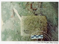 BANGUNAN MUZIUM ARKEOLOGI LEMBAH BUJANG KEDAH - JILID 4