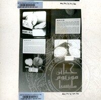 BAHAN PAMERAN DURIAN RAJA SEGALA BUAH