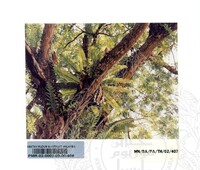 PAMERAN TEROKAI HANTU 2002 (JILID 3)