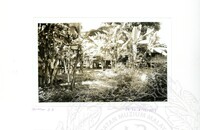 ARKEOLOGI SG. MAS, KEDAH SM, 32-4,93 VOL,3 HP FASA 4 LOKASI, POKOK, LAWATAN, CERAMAH, AKTIVITI - HITAM/ PUTIH. HASSAN