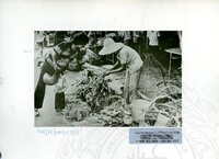 BAHAN PAMERAN WANITA MALAYSIA 1982