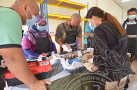 KURSUS KONSERVASI PERSENJATAAN ERA PERANG DI MUZIUM TENTERA , PORT DICKSON