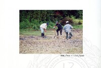 ARKEOLOGI KOTA KAYANG PERLIS 2002 JILID 3