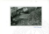 ARKEOLOGI SG. MAS, KEDAH SM : 32 - 3 / 93 8 HP