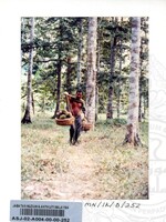 PAMERAN DURIAN RAJA SEGALA BUAH