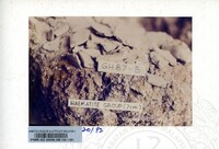 KOLEKSI PAMERAN ARKEOLOGI