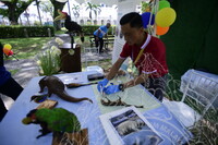 HMA 2024 - SPEED DATING WITH MUSEUM PRACTITIONERS