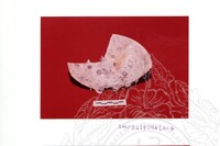 ARKEOLOGI SG. MAS, KEDAH SM : 32-7/94 (WARNA)