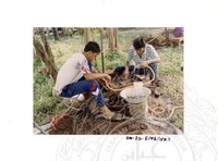 ARKEOLOGI SG. MAS, KEDAH SM: 32 - 5/ 93 VOL: 2 W