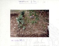 ARKEOLOGI SG. MAS, KEDAH SM: 32-4/ 93 VOL: 5 W