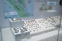 GALERI A (Sejarah Awal)