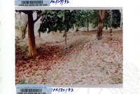 KOLEKSI PAMERAN ARKEOLOGI