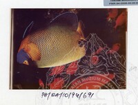 PAMERAN KEINDAHAN ALAM 1994 3