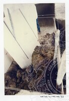 ARKEOLOGI KG. GAUNG TERENGGANU 1996