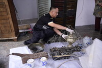 DERMA ARTIFAK OLEH DATO' INDERA NORIDAH BINTI ABDUL RAHIM